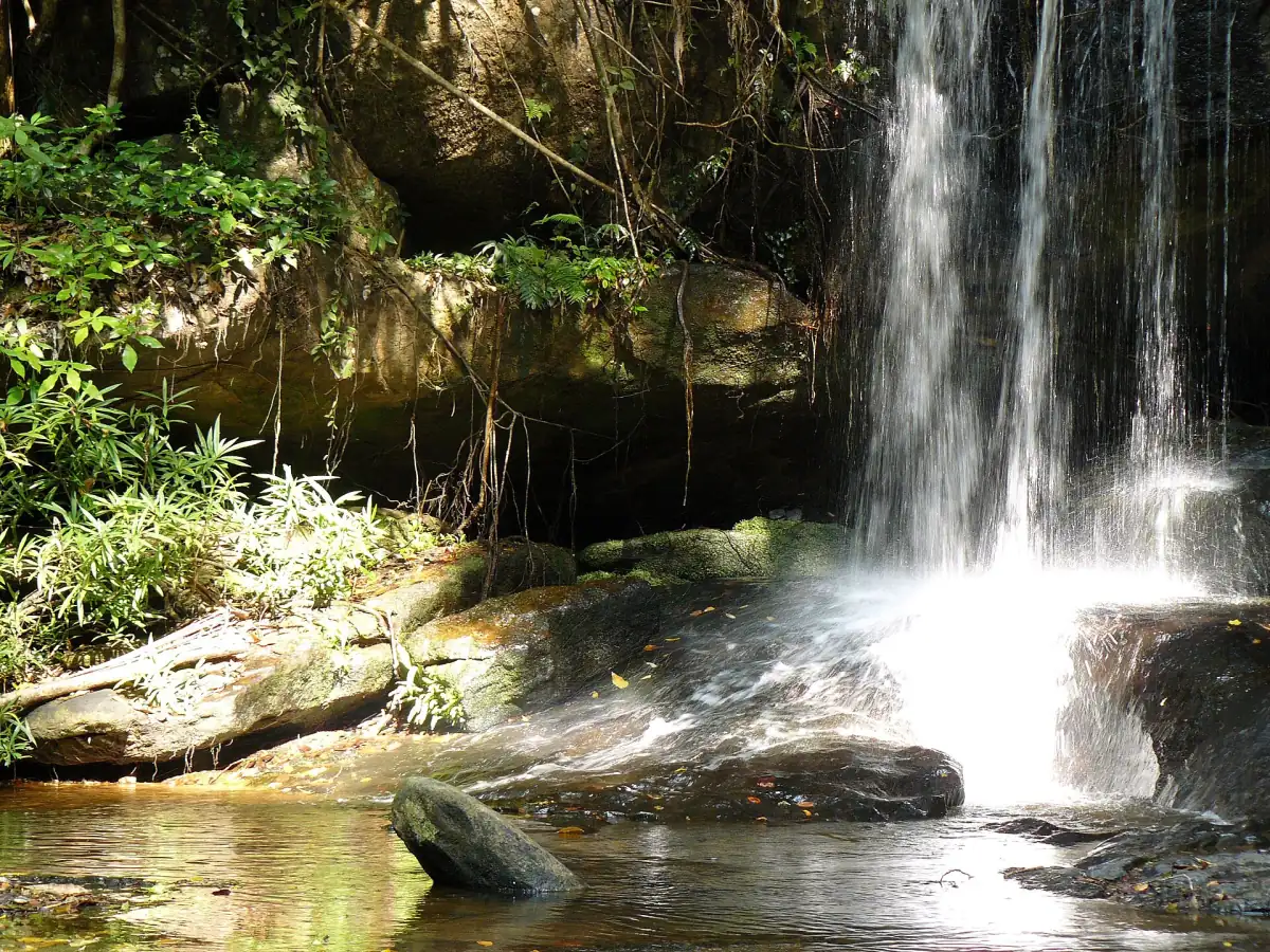 Rocas y bosque en Phnom Kulen